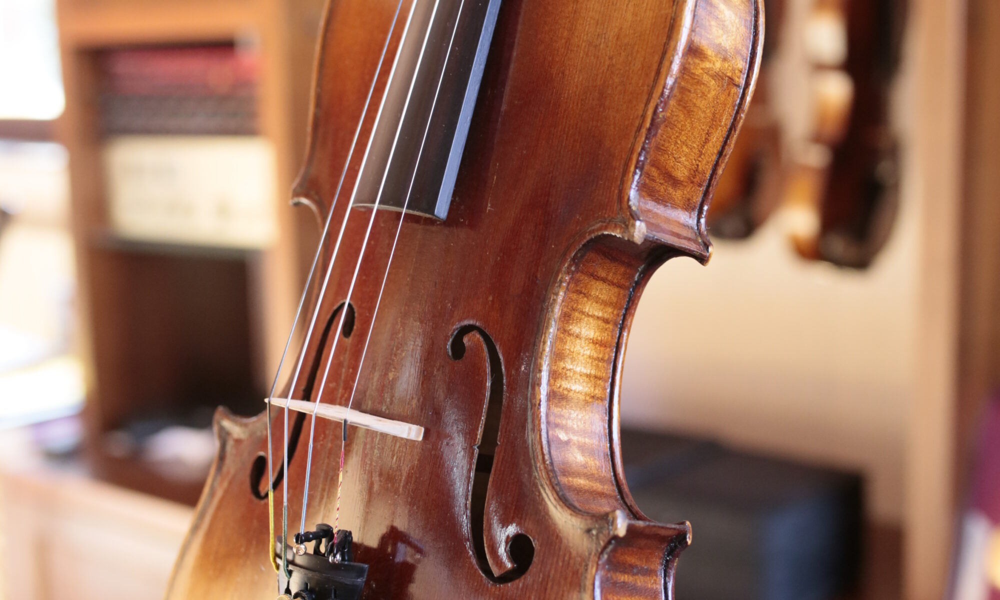 violino 1800