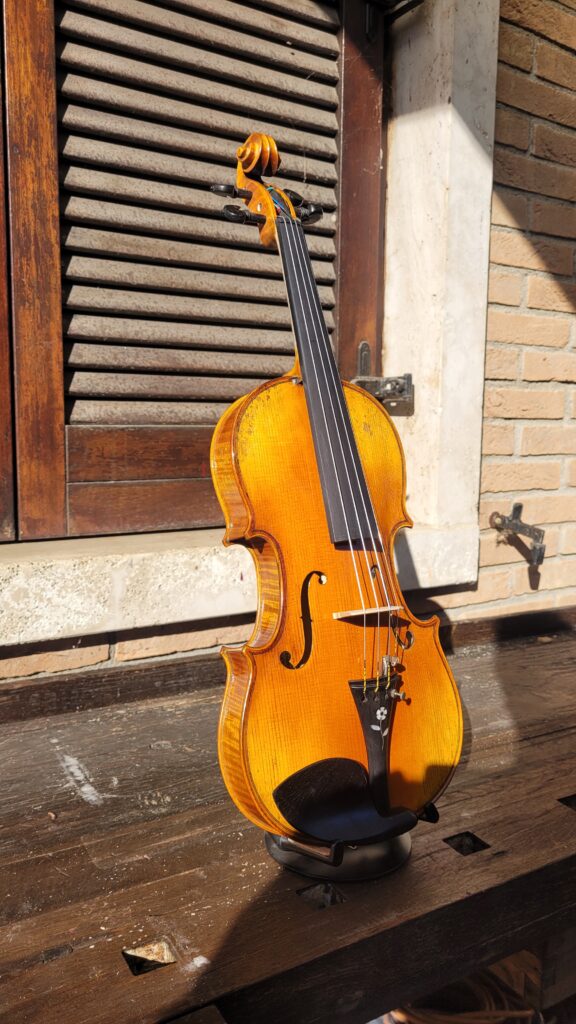 Violino Antiquity