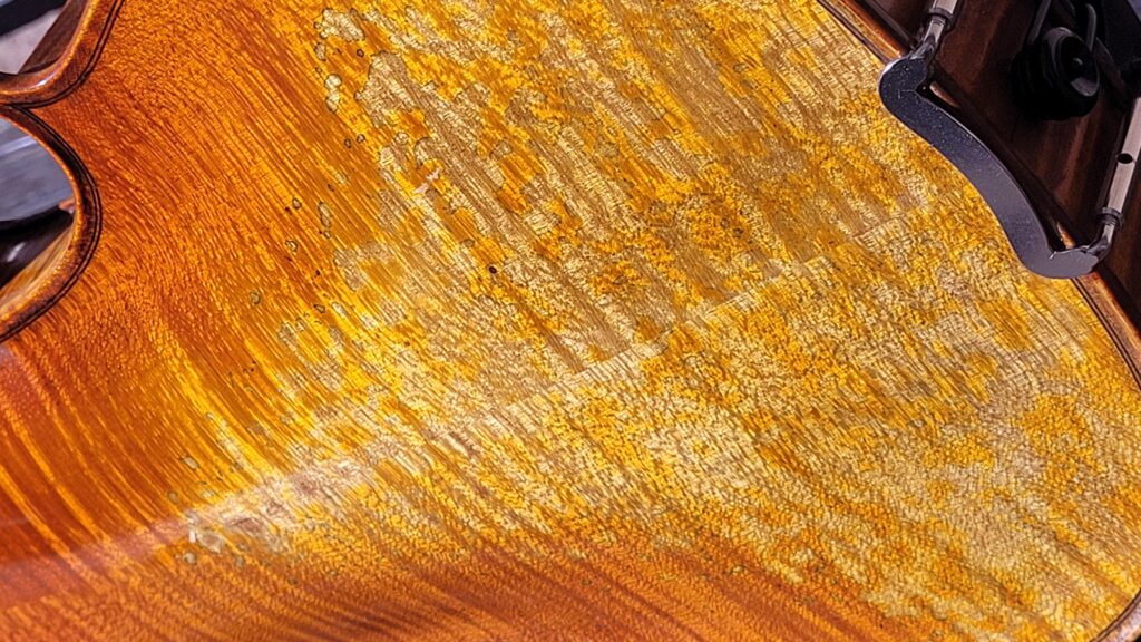 Violino Antiquity dettagli