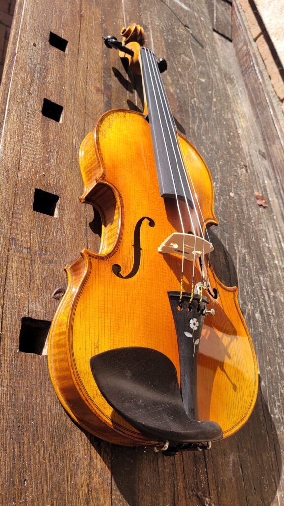 Violino Antiquity Cesarini Liuteria