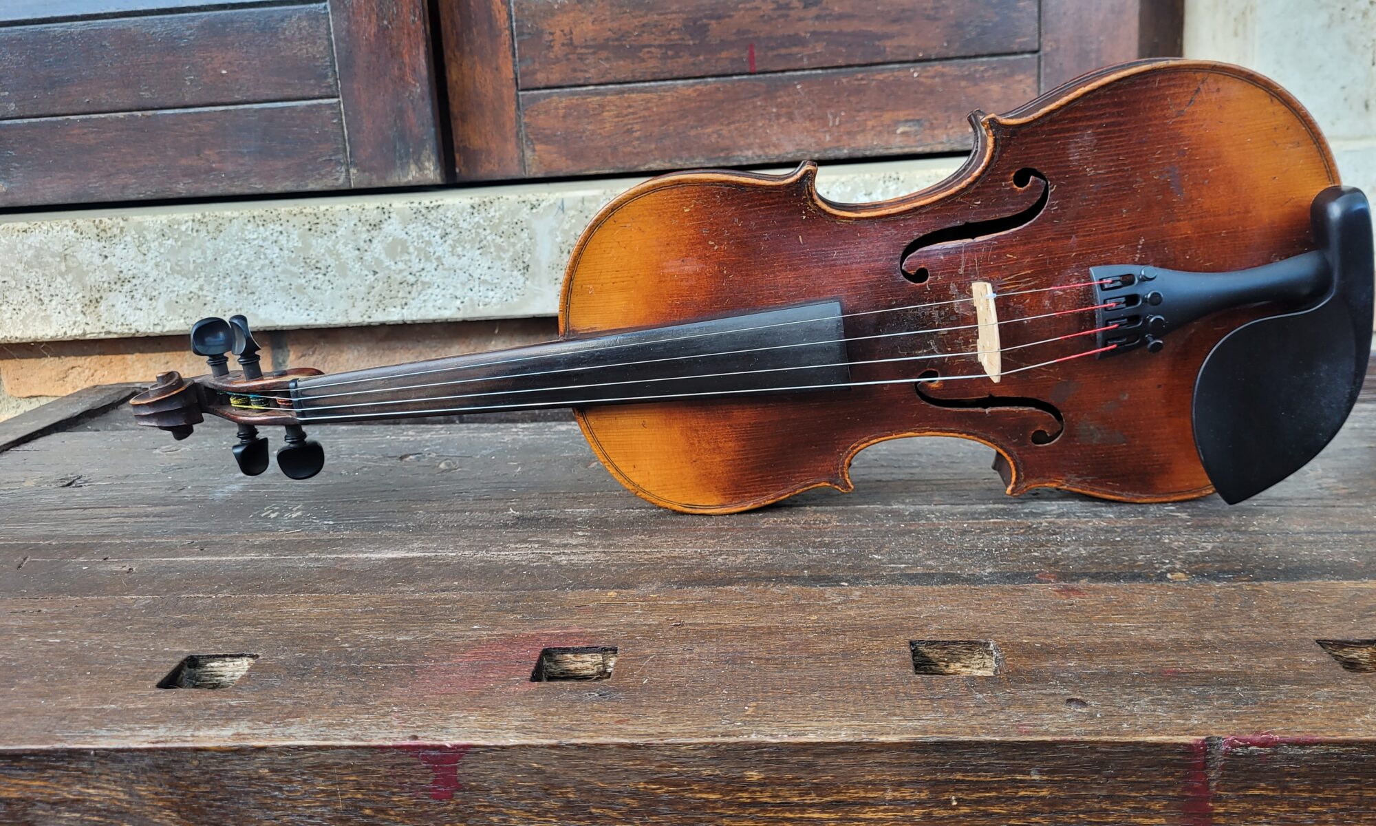 Violino antico 1900