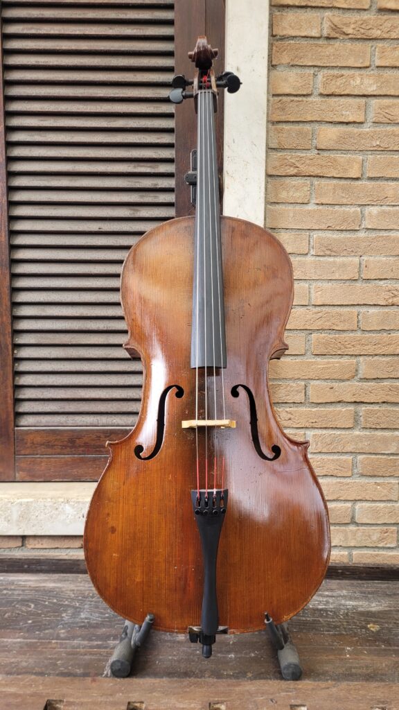 Old italian cellos
