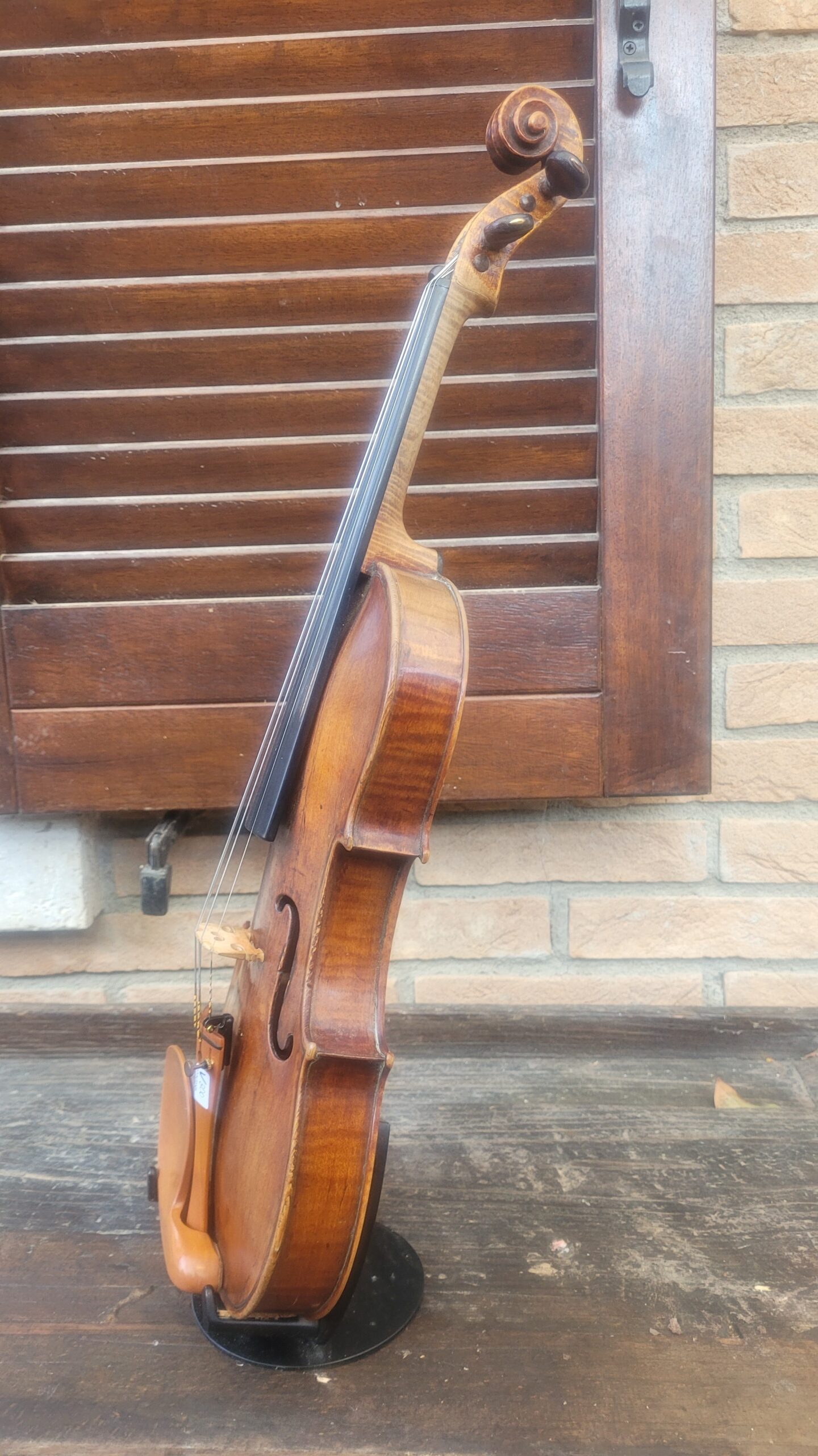 Violini a Perugia