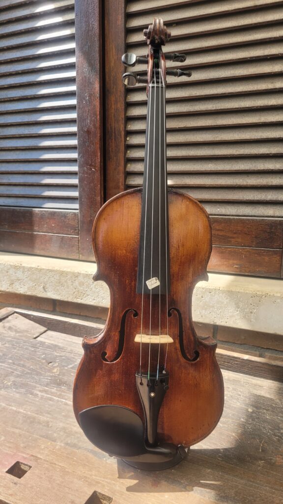 Collezione Cesarini Strumenti Musicali