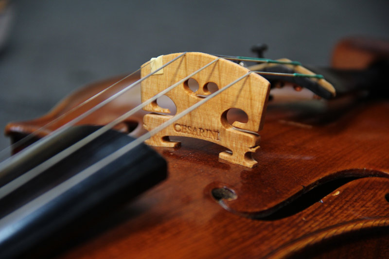 Violino da studio