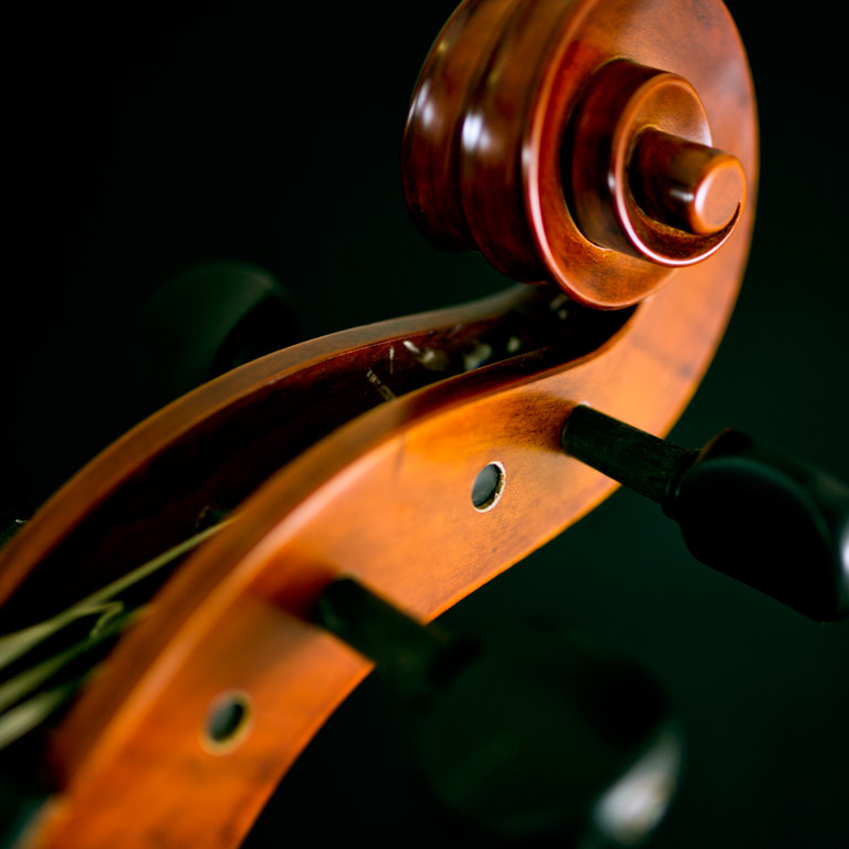 Violoncello da studio