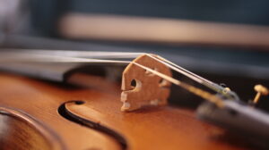 violin teacher for free