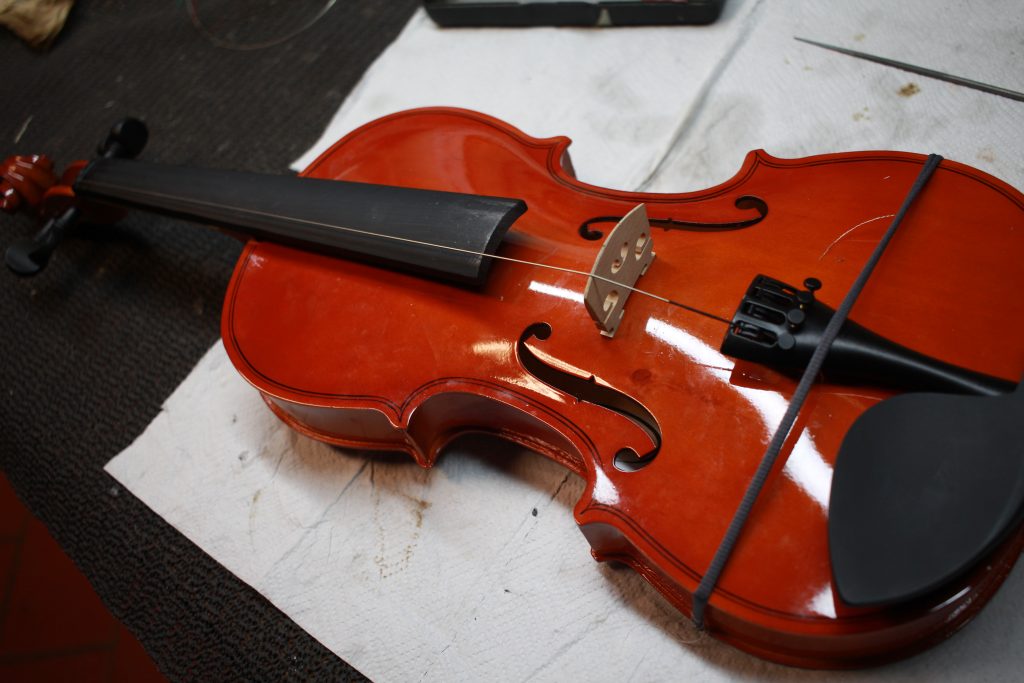 Violino Amazon Forenza