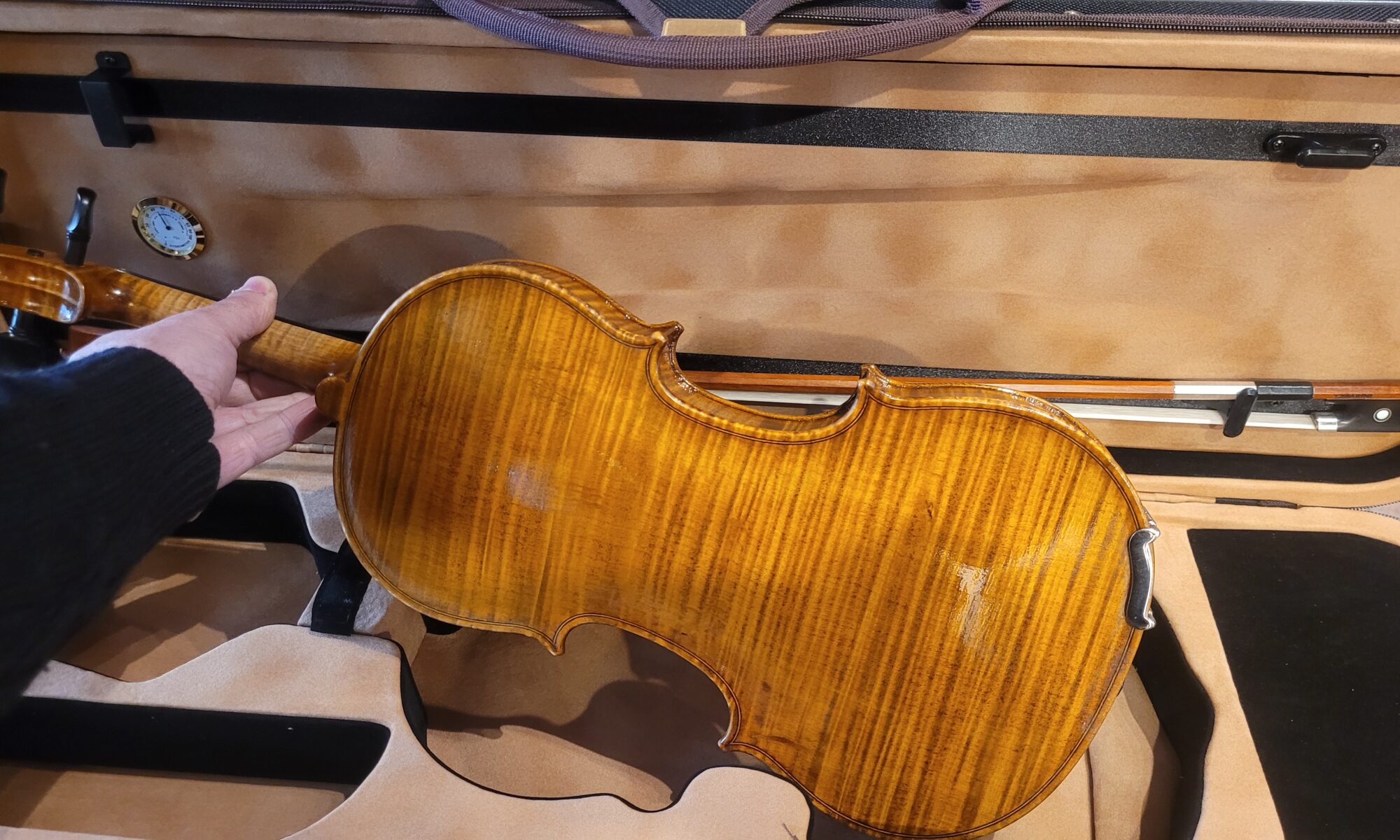 Violino rubato in Italia , 2024
