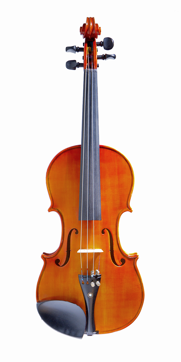 Violino artigianale Cesarini, tavola