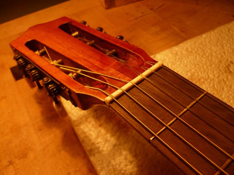 Telesforo Julve Guitar