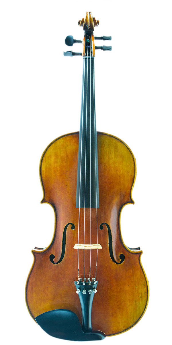 Viola professionale Leon, tavola abete rosso