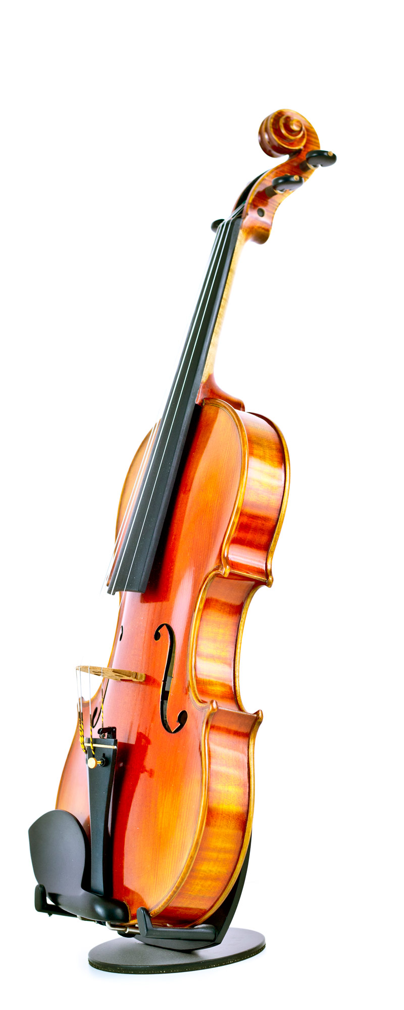 Violino Conservatorio